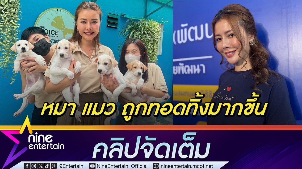 เก๋ ชลดา เร่งหาบ้านให้หมา-แมว หลังถูกทอดทิ้งกว่...