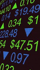 From Seed to Tree The Potential of Growth Stocks