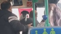 Kucağındaki köpekle otobüse bindi; tepki gösteren şoför ve yolcularla tartıştı 