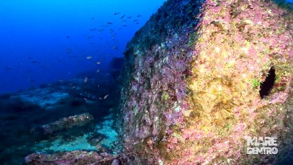 Produgal: la storia della nave che giace nel porto di Messina