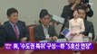 [YTN 실시간뉴스] 與, '수도권 특위' 구성...野 