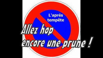 Après la tempête Ciaran en Bretagne et Normandie