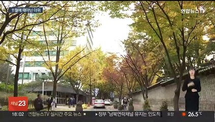 11월에 30도 더위…입동 코앞인데 계절 역주행