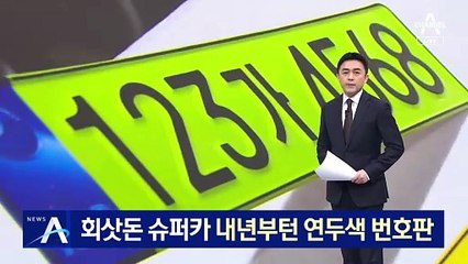 ‘회삿돈 슈퍼카’ 내년부턴 연두색 번호판…소급적용은 없어