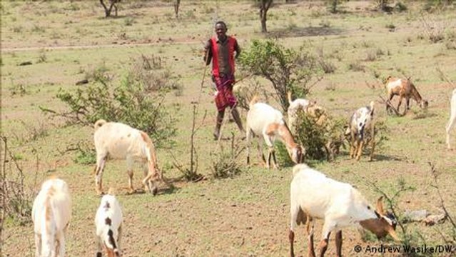 How one community in Kenya is adapting to climate change