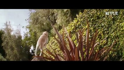 Regardez la Bande-Annonce Française de 'Family Switch' 🎬