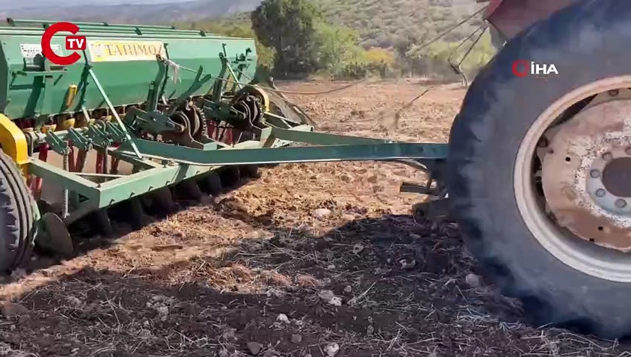 Kıraç tarım arazilerinde hububat ekimine başlandı! Yağmurlar verimi doğrudan etkiliyor