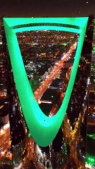 طائر بشكل مرعب في خميس مشيط يثير الجدل