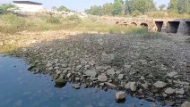 The river dried up due to negligence of those responsible