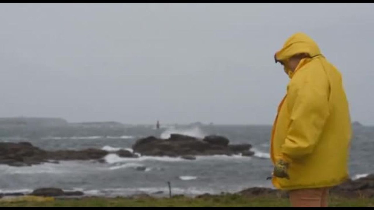 La tempesta Ciaran ha colpito Francia e Gran Bretagna