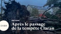 Tempête Ciaran : les dégâts en Bretagne après les puissantes rafales de vent