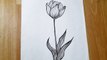 How to draw a rose easy step by step __ Flower drawing tutorial