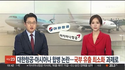 대한항공·아시아나 합병 논란…국부유출 최소화 과제로