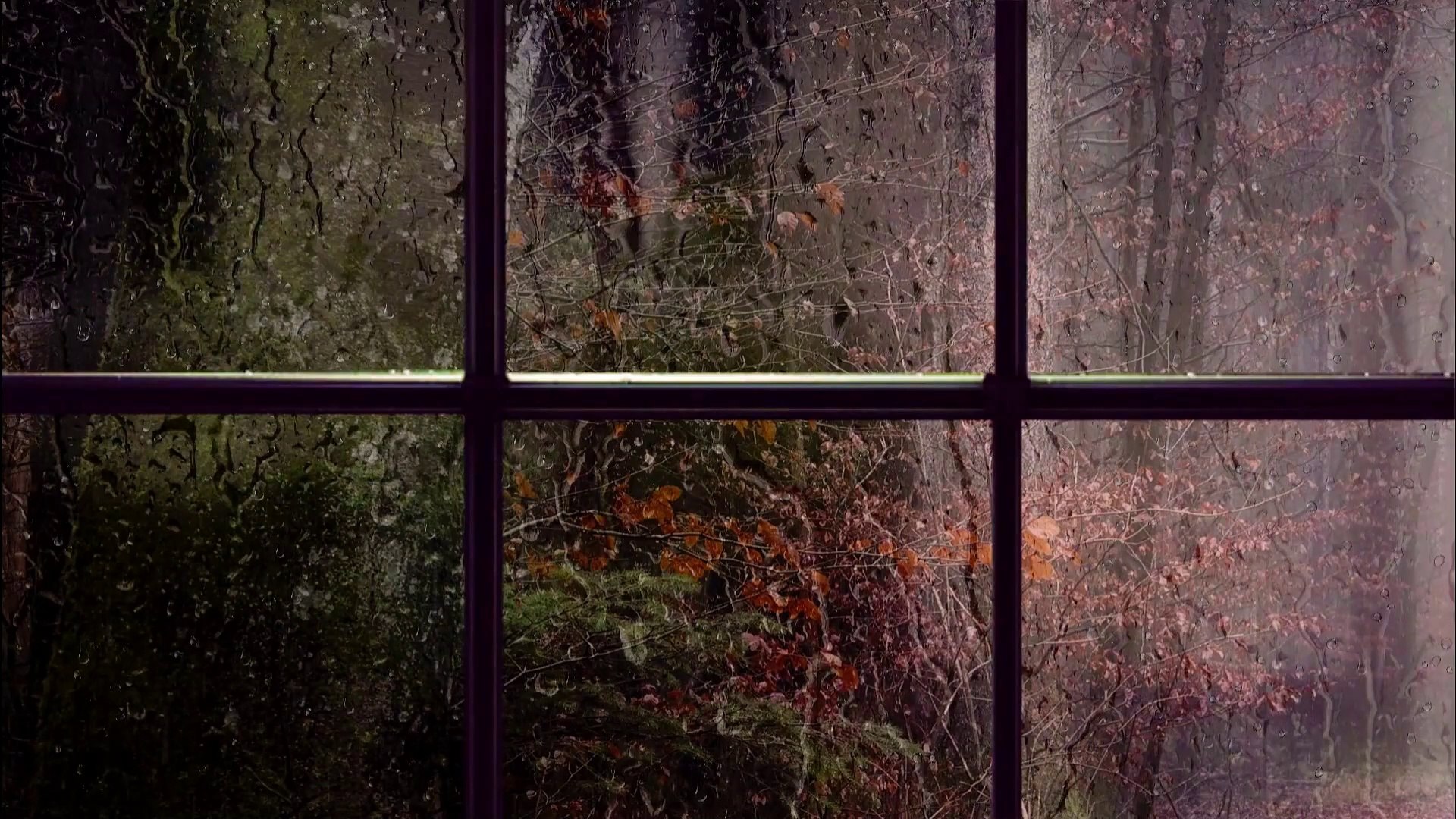 ⁣Autumn Rain Anytime - Relaxing Nature Sounds