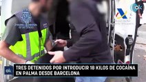 Tres detenidos por introducir 18 kilos de cocaína en Palma desde Barcelona