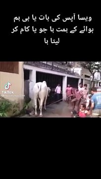 Pakistani funny videos in urdu | Pakistan Politics | funny | politics | Fun in asia Hilarious Pakistani Political Comedy - A Laugh Riot in Urdu!