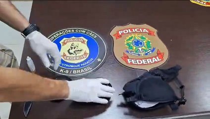 Mulher é presa com cocaína escondida em sutiã em Aeroporto de Fortaleza
