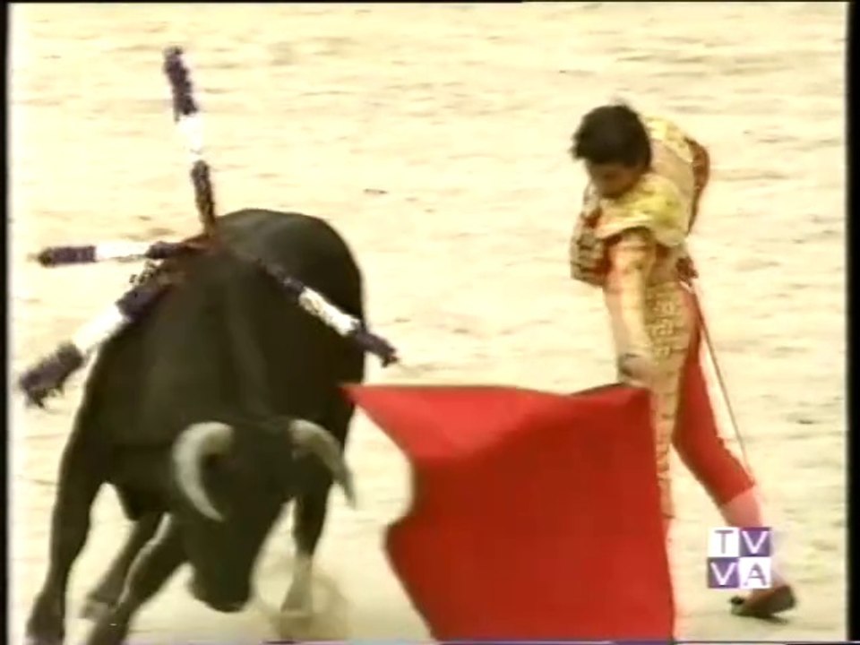 TARDE DE TOROS-ROMO-JOSELITO CAMPOS-JESUS MOLPECERES Y MARIO COELHO-MEDINA DEL CAMPO-17 JUNIO 1996