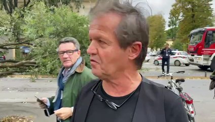 Albero cade in viale Giannotti: "Poteva fare una strage" (video-intervista di Niccol? Casalsoli)