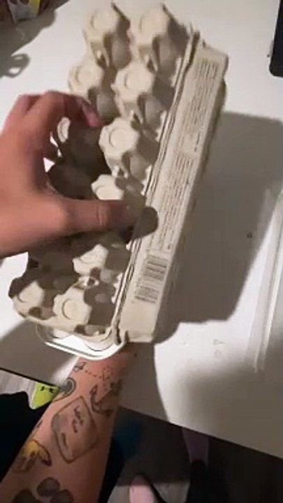 Egg Carton Kitchen Hack