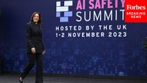 Vice President Kamala Harris Attends Global Summit On AI Safety In Bletchley Park, England