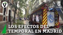 Las fuertes rachas de viento causan graves destrozos en el arbolado de Madrid