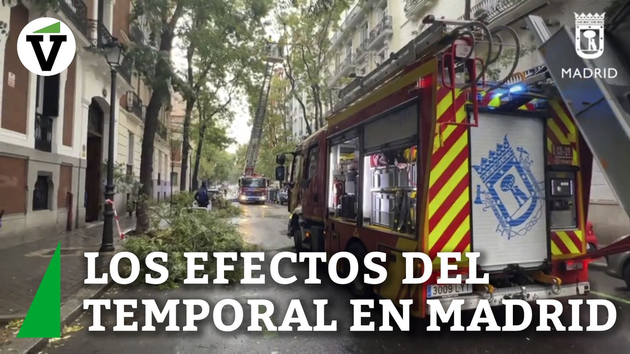 Las fuertes rachas de viento causan graves destrozos en el arbolado de Madrid