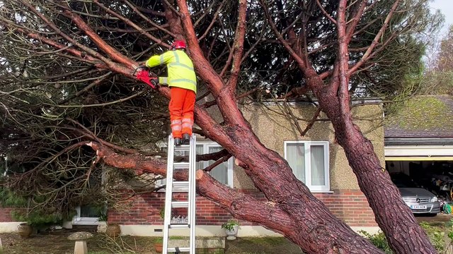 Storm Ciarán latest: Video footage emerges after tree falls on West Sussex home