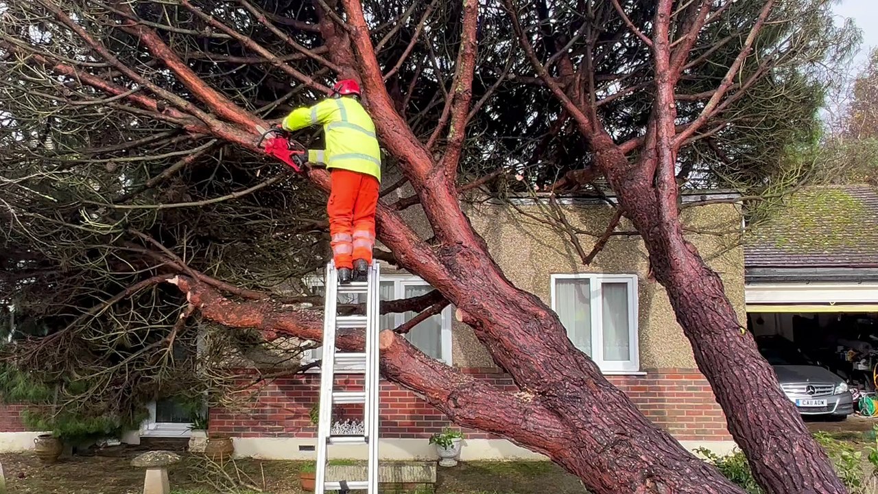 Storm Ciarán latest: Video footage emerges after tree falls on West Sussex home