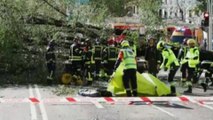 El temporal Ciarán deja una fallecida en Madrid tras caerle un árbol