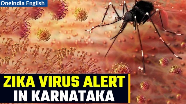 Karnataka: Zika Virus found in mosquitoes in Chikkaballapur, authorities on alert | Oneindia News