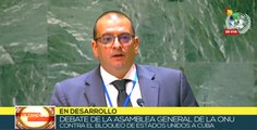 Representante de Egipto promueve cumplimiento de la Carta de Naciones Unidas