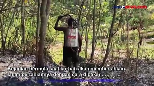 Kehabisan Nafas, Kakek Tewas saat Padamkan Kebakaran Lahan di Gunungkidul