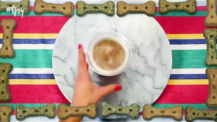 Be on the Lookout For These Specific Foods That Your Pup Simply Can’t Have!