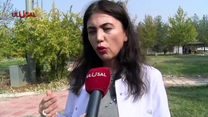 Tarımda Vahşi Sulama Nehirleri Kurutuyor