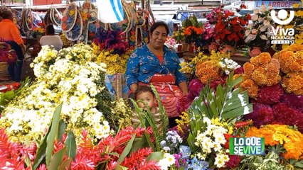 Feria de flores dinamiza la economía de Carazo en el día de los fieles difuntos