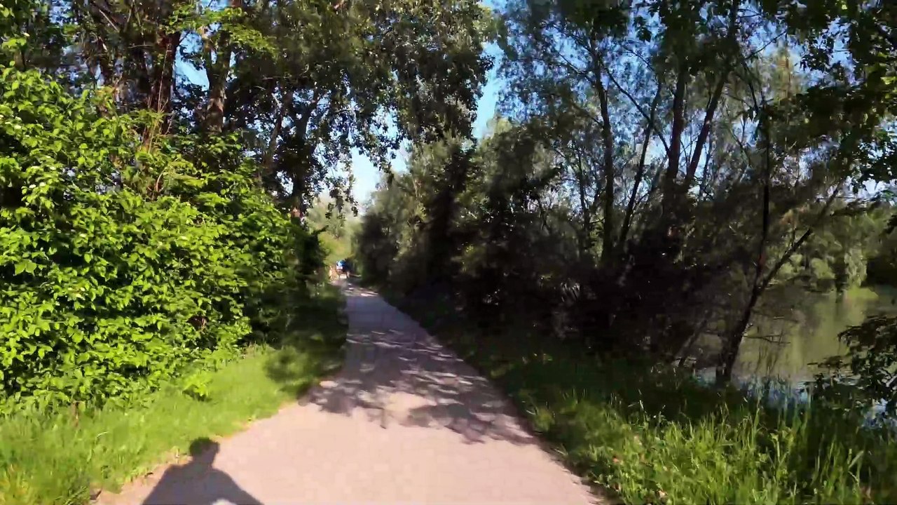 Donau Altarm - Donauradweg nach Greifenstein (8)