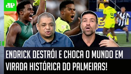 "POR%@! ISSO FOI DE GÊNIO! O que MAIS IMPRESSIONA no Endrick é que..." SHOW em Botafogo x Palmeiras!