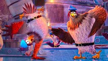 Concours de break dance Angry Birds contre les aigles