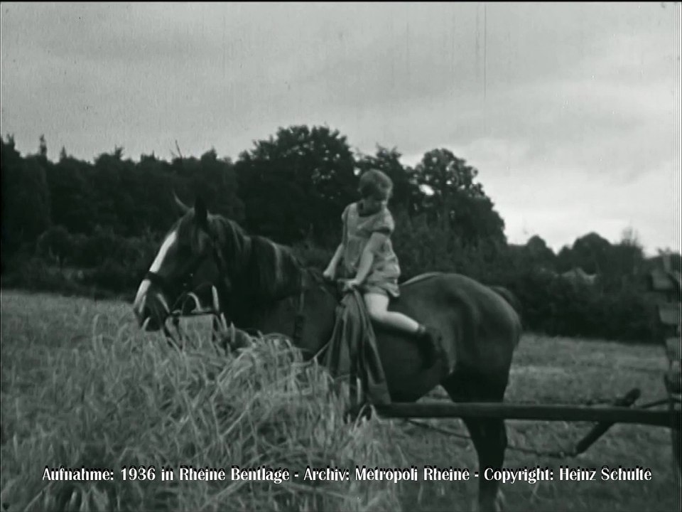 512 Garben aufladen und abfahren