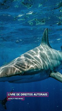 ✅Música ambiente relaxante para acalmar a mente, trazendo bons fluidos e harmonia #Shorts