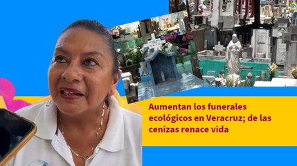 Aumentan los funerales ecológicos en Veracruz; de las cenizas renace vida