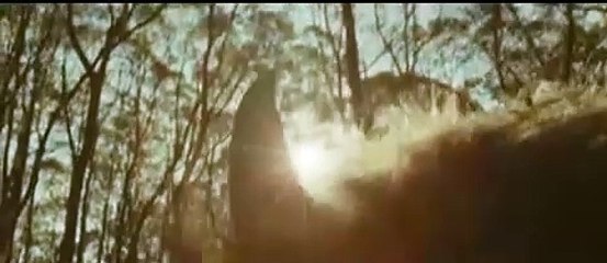 Max et les Maximonstres Bande-annonce (ES)