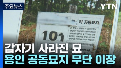 갑자기 사라진 가족의 묘...용인 공동묘지 무단 이장 / YTN