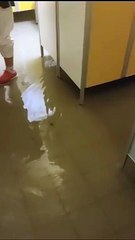 Maltempo, alluvione a Prato. Allagamenti all'ospedale