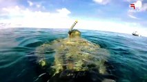 Spearfishing western australia