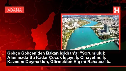 Gökçe Gökçen'den Bakan Işıkhan'a: "Sorumluluk Alanınızda Bu Kadar Çocuk İşçiyi, İş Cinayetini, İş Kazasını Duymaktan, Görmekten Hiç mi Rahatsızlık...