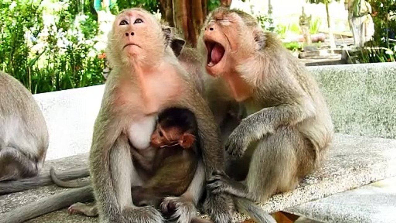 Adorable Mother Emila Open with Big Mouth, Look So Fun