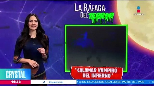 Captan a un calamar vampiro del infierno
