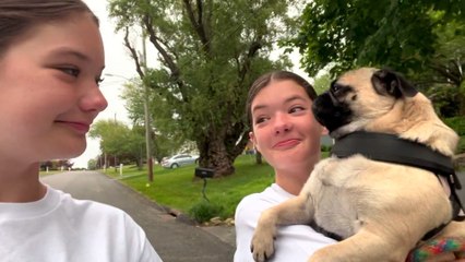 Identical Twins Become Dog Walkers